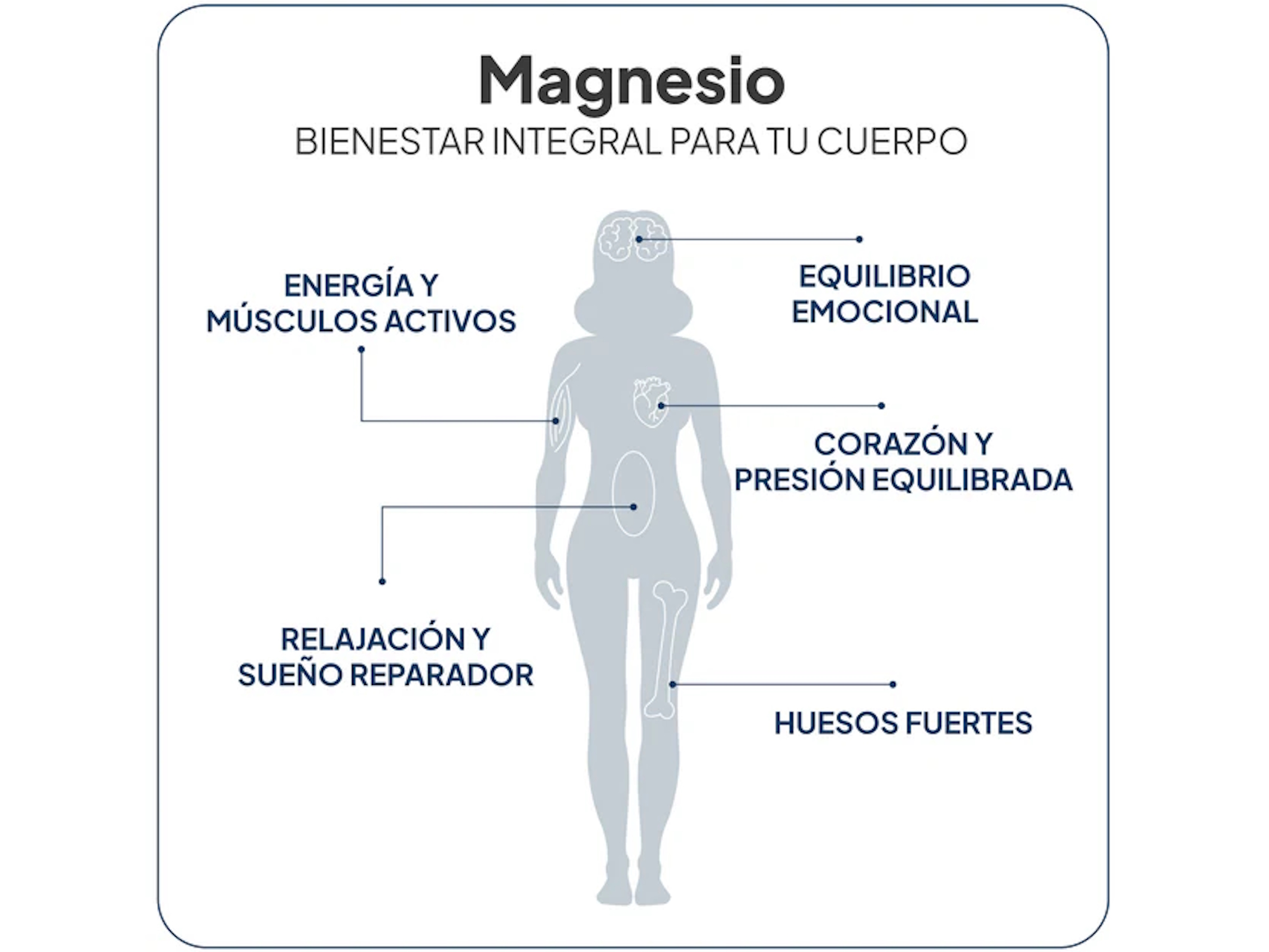 IVB Magnesio Total 180 Cap.
