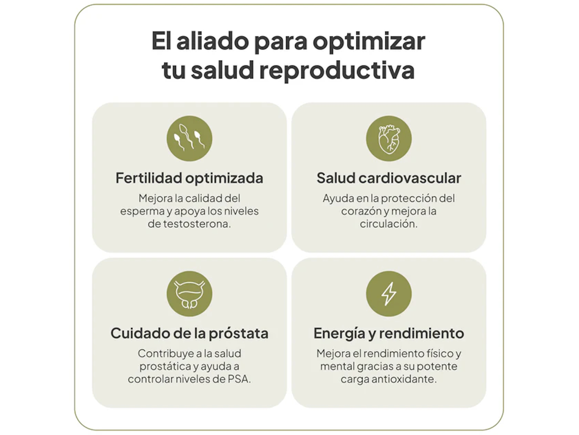 IVB VitalNatal Man 60 Caps.