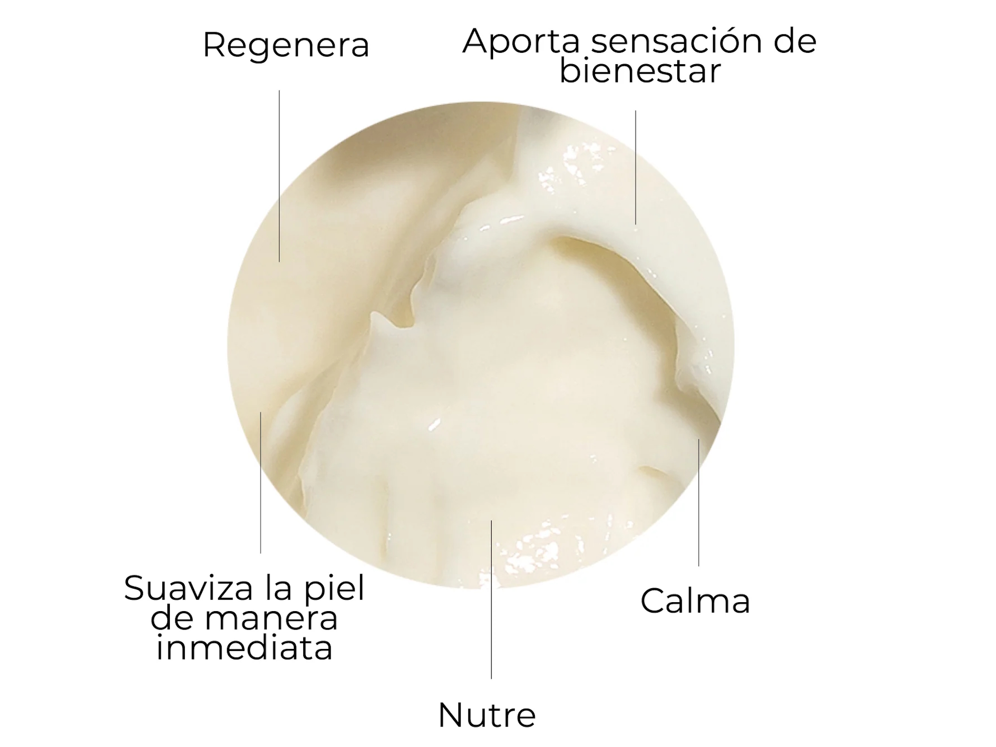 Segle Crema Skin Factor 50ml