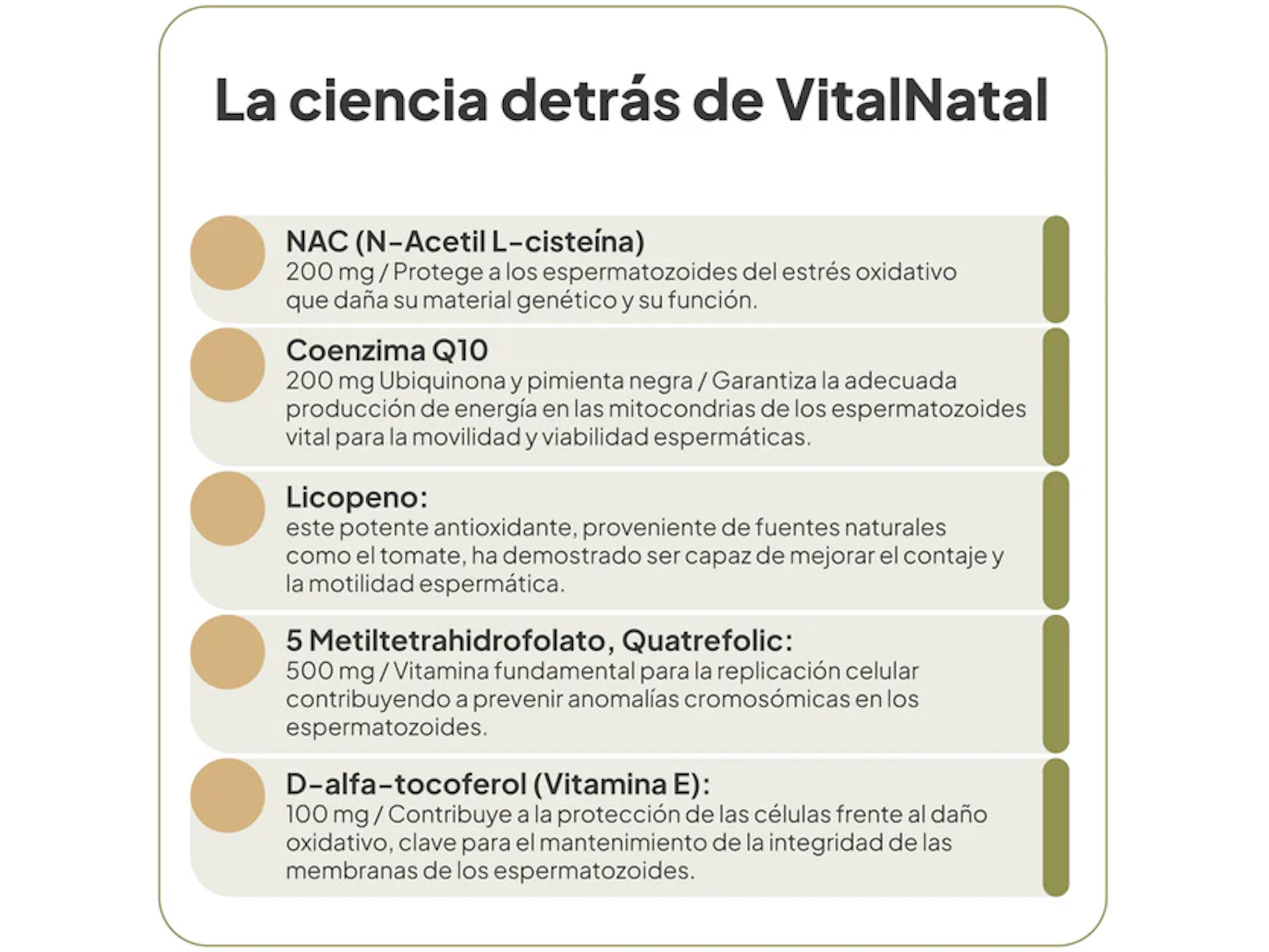 IVB VitalNatal Man 60 Caps.